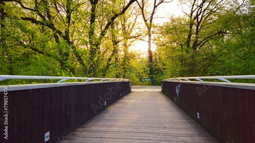 drewniany mostek w parku ze słońcem w tle