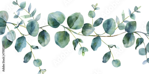 Watercolor eucalyptus leaves garland isolated on white background