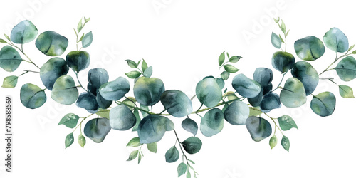 Watercolor eucalyptus leaves garland isolated on white background