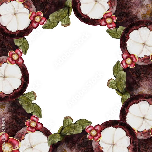 Mangosteen fruit watercolor illustration. Tropical fruit frame hand drawing isolated on white background. Botanical clip composition art of asian food garcinia. Realistic mangostana for designing photo