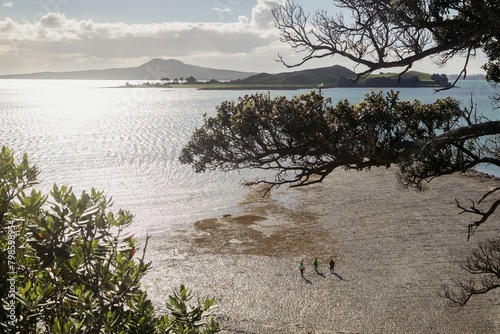 Poeple walking on a reef at low tide at Mucisck Point. In the background is Rangitoto and Browns Island. Bucklands Beach, Auckland, Auckland, New Zealand. photo