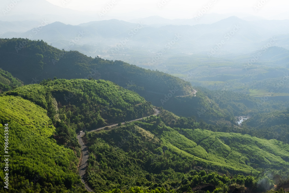 Fototapeta premium Aerial top view forest tree, Rainforest ecosystem and healthy environment concept and background in dalat Vietnam.