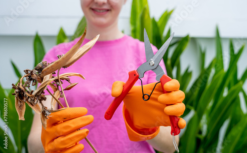 A young woman takes care of the garden, waters, fertilizes and prunes plants photo