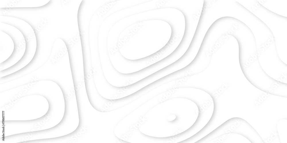 Abstract paper carve template. abstract white and gray 3d papercut topography relief vector background illustration. topographic canyon geometric map relief texture with curved layers and shadow.
