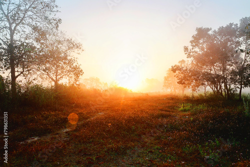 The scene depicts a sunrise in the morning, with the sun illuminating nature.