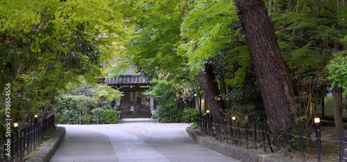 世界遺産　京都　宇治上神社 photo