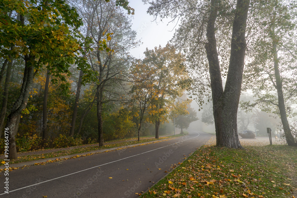 Autumn foggy landscape: a small square near Lake Naroch, Belarus