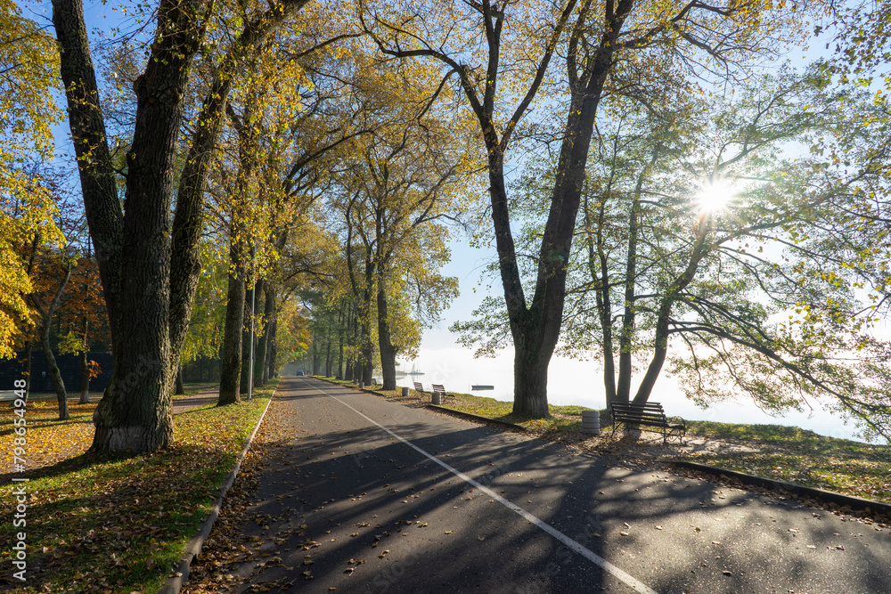 Naklejka premium Autumn foggy landscape: a small square near Lake Naroch, Belarus