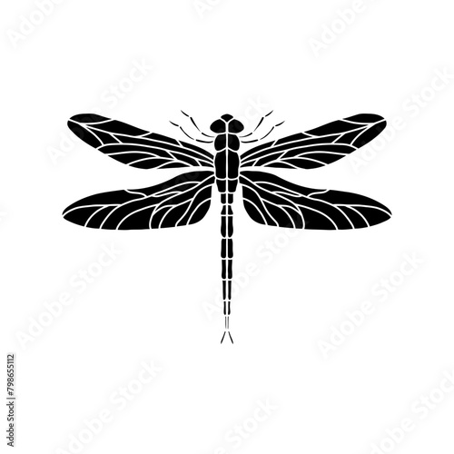 dragonfly black and white vector illustration isolated on white background. black and white Realistic hand drawing of dragonfly insect on white background