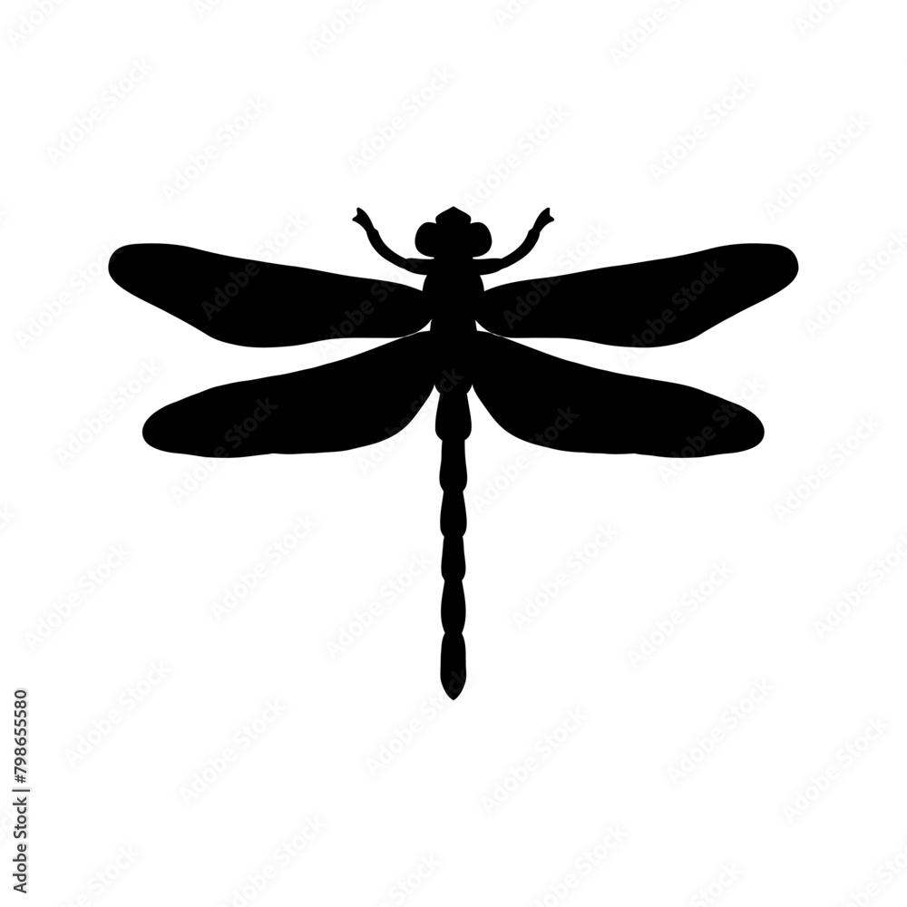 dragonfly black and white silhouette vector illustration. black and white Realistic hand drawing of dragonfly insect on white background dragonfly black and white silhouette vector illustration. black and white Realistic hand drawing of dragonfly insect on white background