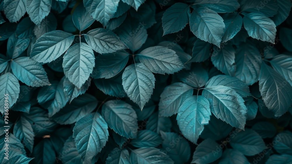A close-up of a verdant plant with numerous leaves atop and below A close-up of a verdant plant with numerous leaves atop and below