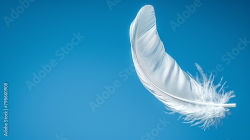   A white feather drifts in the clear blue sky, against the backdrop of a brilliant, unobstructed blue expanse photo
