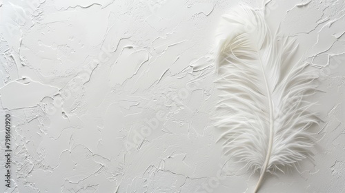  A pristine feather atop a pristine wall, adjacent to a white vase and a flower within it