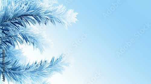   A palms  close-up with snow-laden branches against a backdrop of azure sky