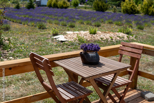 Cafe among lavender fields with wooden tables and a bouquet of lavender in a teapot