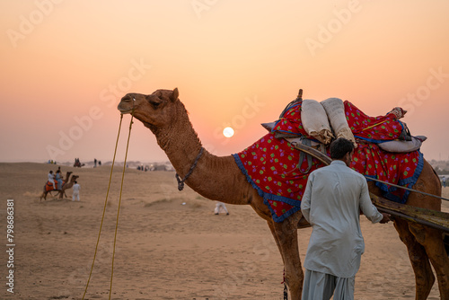 man in traditional kurta pyjama dress standing with camel wearing brightly colored clothes in the middle of sand dunes