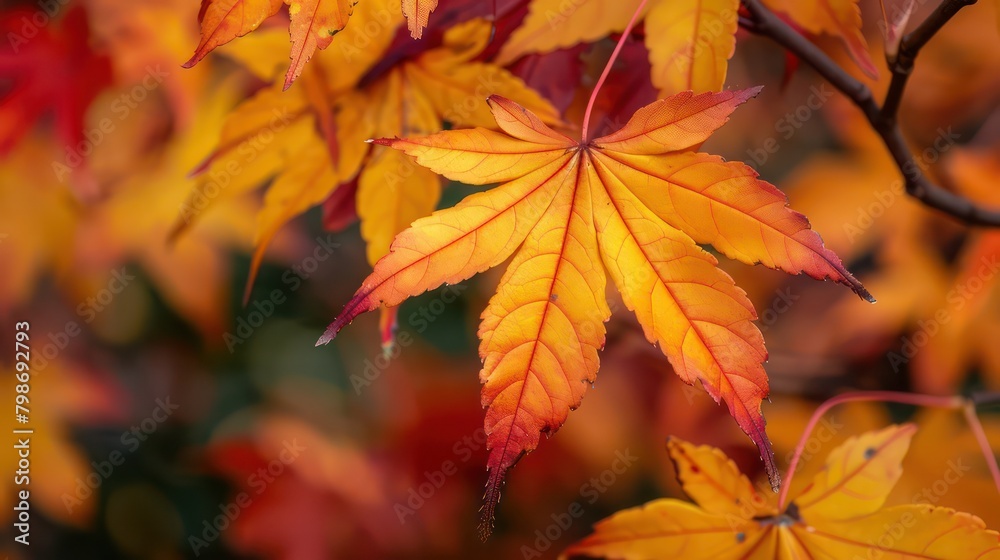 Backlit Autumn Maple Leaf in Vibrant Acer Saccharinum Color, Enchanting Autumn Foliage: AI-Infused Artistry Unveils a Kaleidoscope of Creativity in a Unique and Stylistic Background. Generated AI