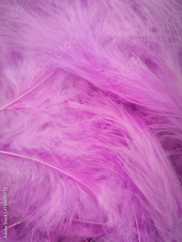 pink bird feathers  feather background