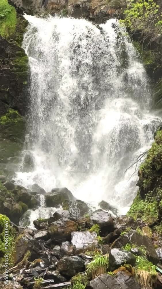 Lyazhginsky waterfall in the spring forest. Cascading waterfall drowning in greenery. Splashes of water. The water flows of the river Lyazhgi. Ingushetia, Caucasus Mountains, Russia, 4k
