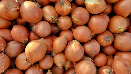 Onion background texture