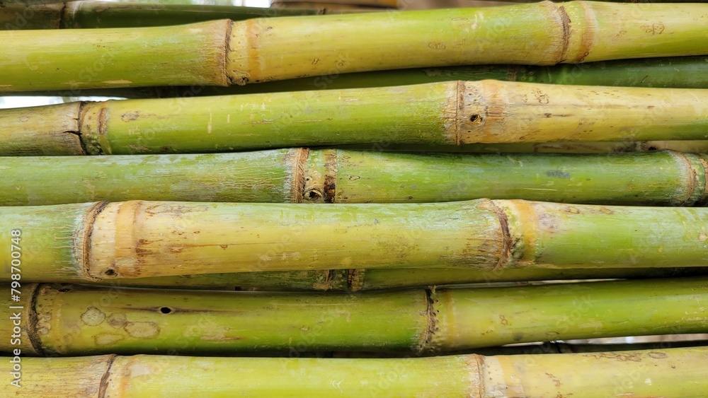 Raw sugarcane background texture Raw sugarcane background texture