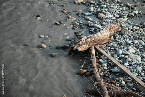 Driftwood and Rocks on the Shore . The problem of river shallowing concept