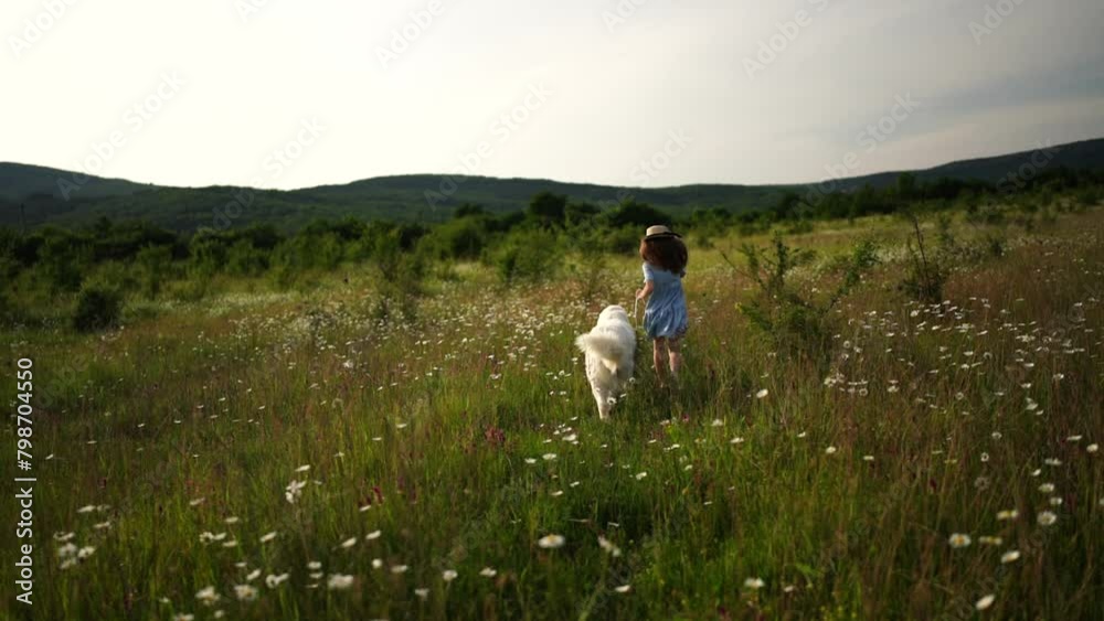 Happy girl walks dog in daisy field. Countryside Outdoor walk with pet. Dressed in a blue dress and a straw hat. Happy girl walks dog in daisy field. Countryside Outdoor walk with pet. Dressed in a blue dress and a straw hat.
