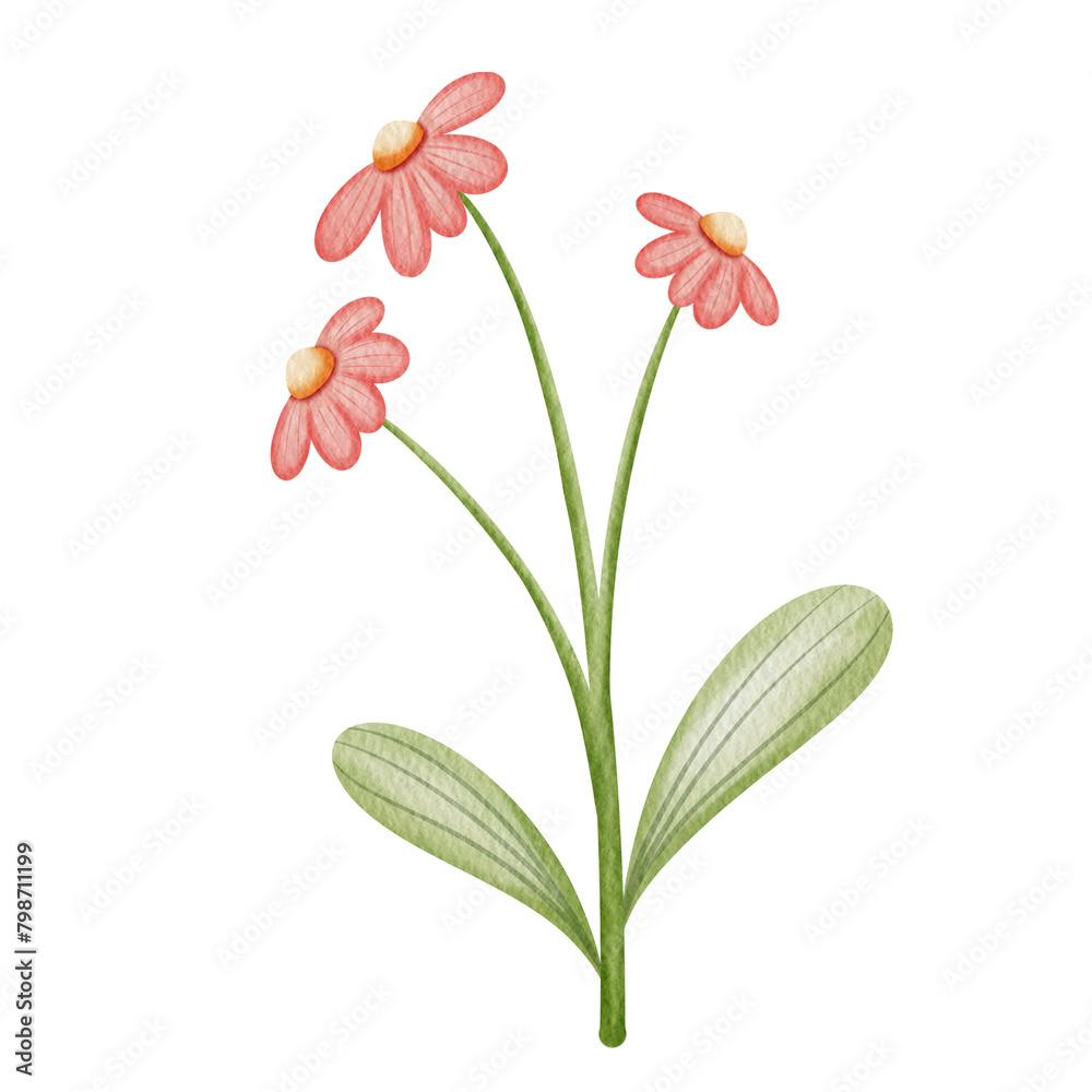 Watercolor red flower. Watercolor red flower.