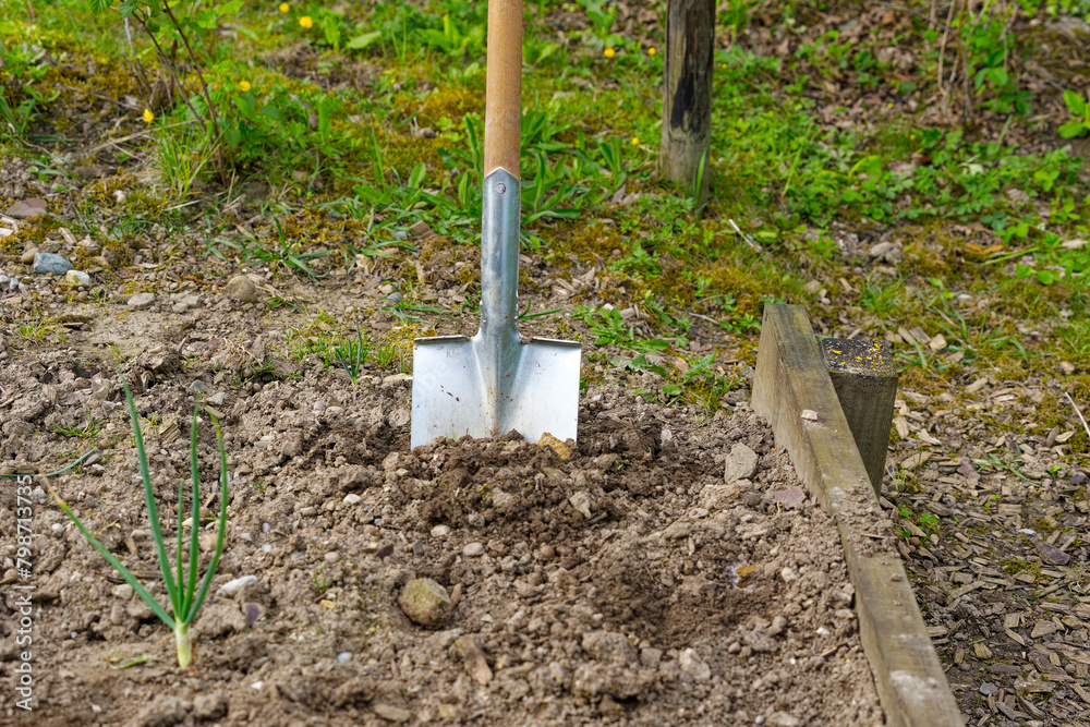 High angle view of spade gardening tool at vegetable bed of home garden at Swiss City of Zürich on a cloudy spring morning. Photo taken April 28th, 2024, Zurich, Switzerland. High angle view of spade gardening tool at vegetable bed of home garden at Swiss City of Zürich on a cloudy spring morning. Photo taken April 28th, 2024, Zurich, Switzerland.