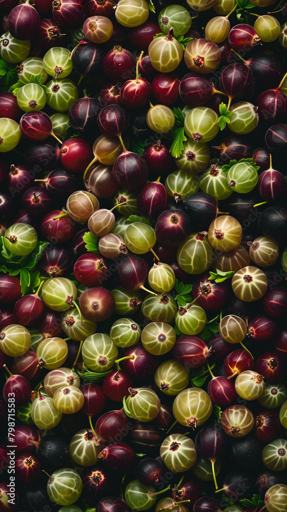 A flat lay composition of a gooseberry field, capturing the unique textures and subtle green hues of the gooseberries amidst their natural setting.
 - obrazy, fototapety, plakaty 