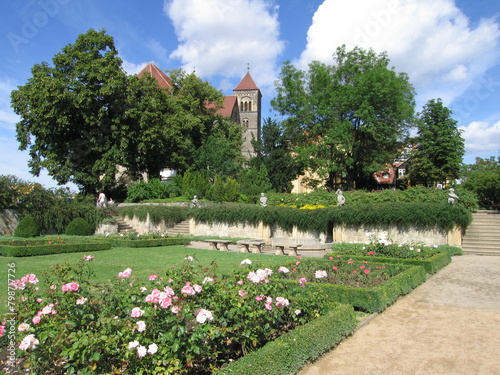 Rosengarten auf dem Schlo  berg in der Fachwerkstadt Quedlinburg im N  rdlichen Harzvorland in Sachsen-Anhalt