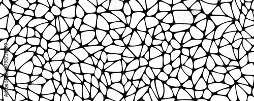 A seamless black and white organic pattern resembling a neural network photo