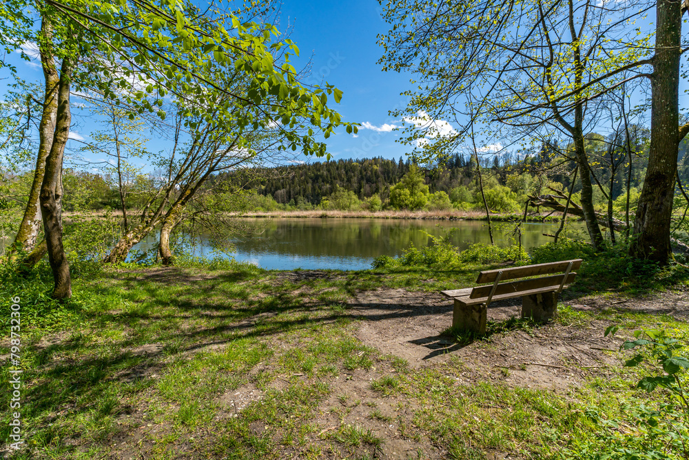 Fantastic spring hike along the Illerschleife with a viewing platform and castle ruins Fantastic spring hike along the Illerschleife with a viewing platform and castle ruins