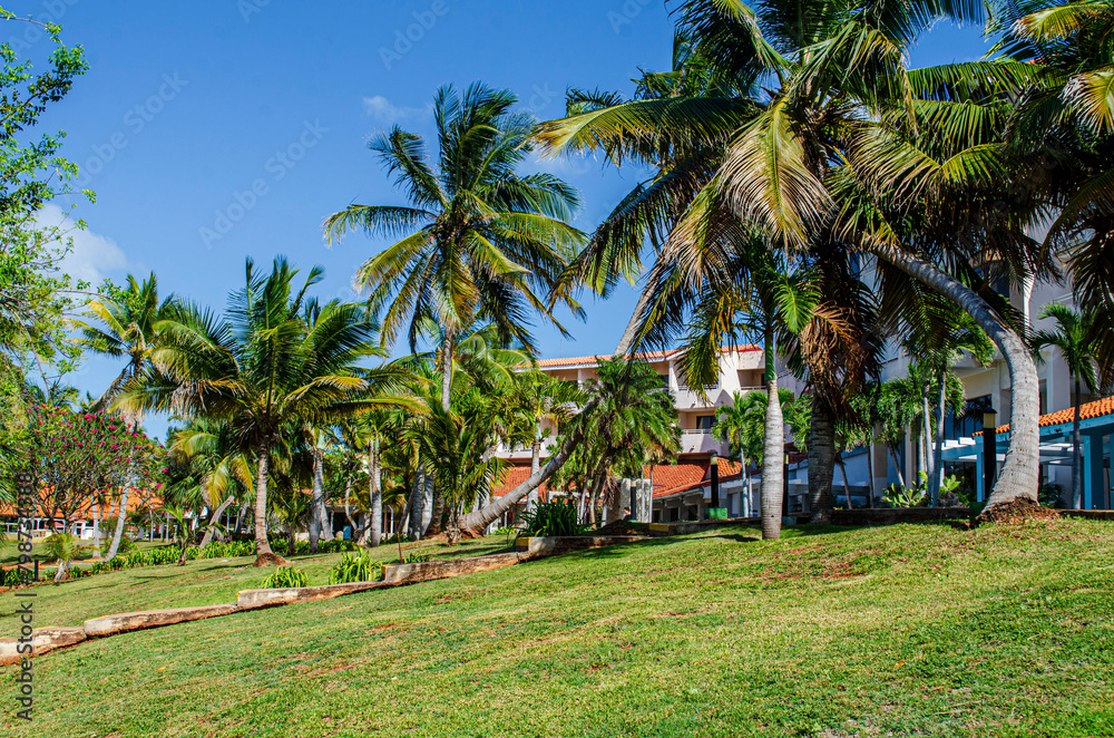 Obraz premium trees on the beach
