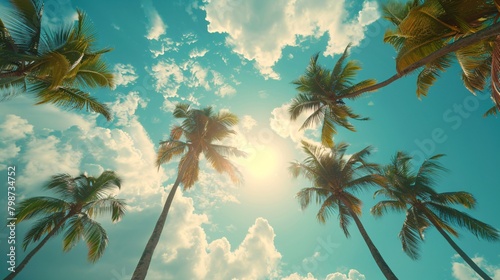 tropical summer background with palm tree on sunny sky © Spyrydon