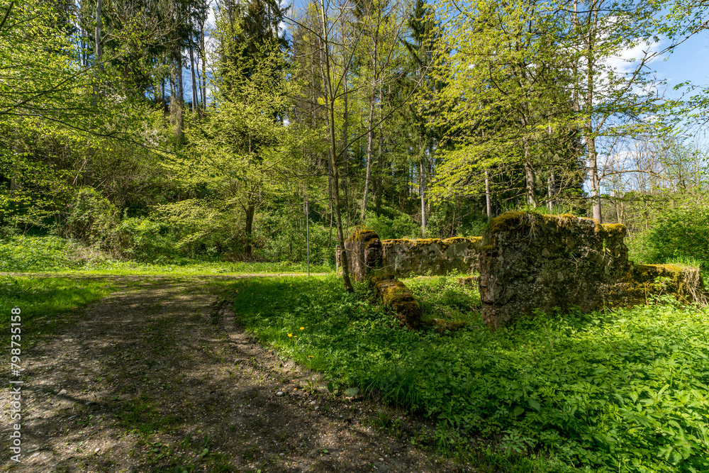 Fantastic spring hike along the Illerschleife with a viewing platform and castle ruins Fantastic spring hike along the Illerschleife with a viewing platform and castle ruins