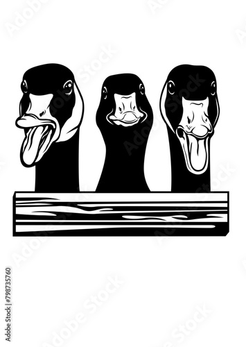 3 Funny Goose | Farm Animal | Peeking Animal | Goose | Goose Keeper | Poultry Livestock | Farm Life | Goslings | Original Illustration | Vector and Clipart | Cutfile and Stencil