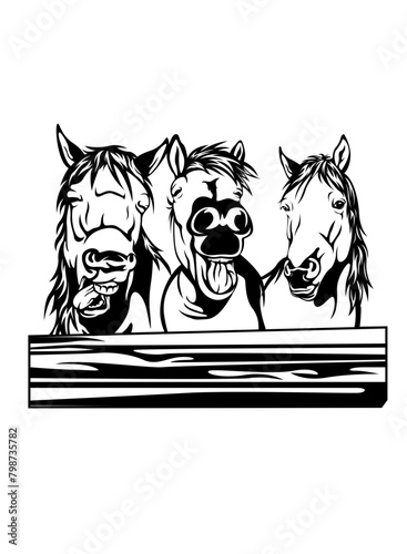 3 Peeking Horses | Peeking Animal | Horse Rider | Farm Animal | Ranch Cowboy | Horse Lover | Barn | Western Back Riding | Original Illustration | Vector and Clipart | Cutfile and Stencil
