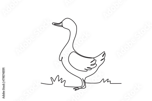 Single continuous line drawing of the Farm ducks. Successful farming minimalism concept. Dynamic one line draw graphic design vector illustration. 