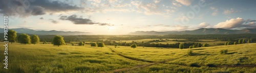 A green field with a dirt road in the foreground  trees  and mountains in the background  and the sun rising over the horizon