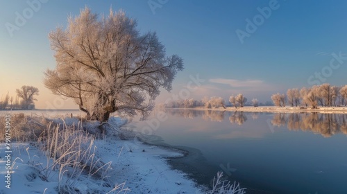 Winter Water. Frost-Covered Tree Branches in Countryside Christmas Scene