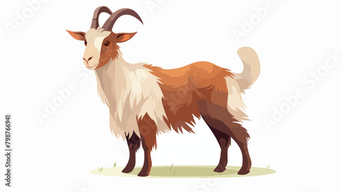 Adorable goat isolated on white background. Cute lo