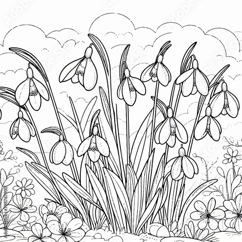 snowdrop flowers  coloring page spring illustration