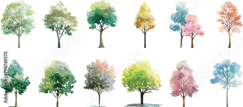 tree watercolor vector illustration, Minimal style tree painting hand drawn, Side view, set of graphics trees elements drawing for architecture and landscape design. summer photo