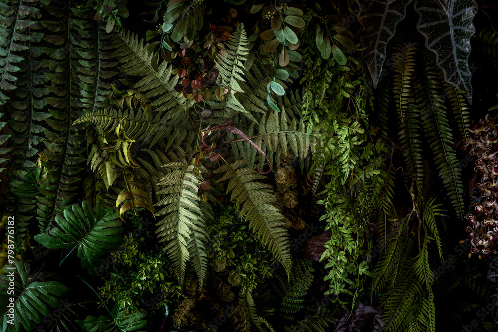 Herb wall, plant wall, natural green wallpaper and background. nature wall. Nature background of green forest Herb wall, plant wall, natural green wallpaper and background. nature wall. Nature background of green forest