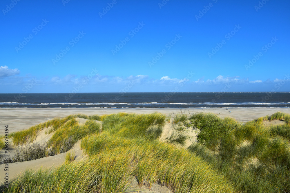 Borkum, Sanddünen am Nordstrand