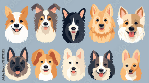 Fototapeta Naklejka Na Ścianę i Meble -  Cute dog faces set. Canine portraits different dogg