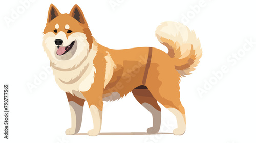 Cute dog of Akita-inu breed. Canine animal standing