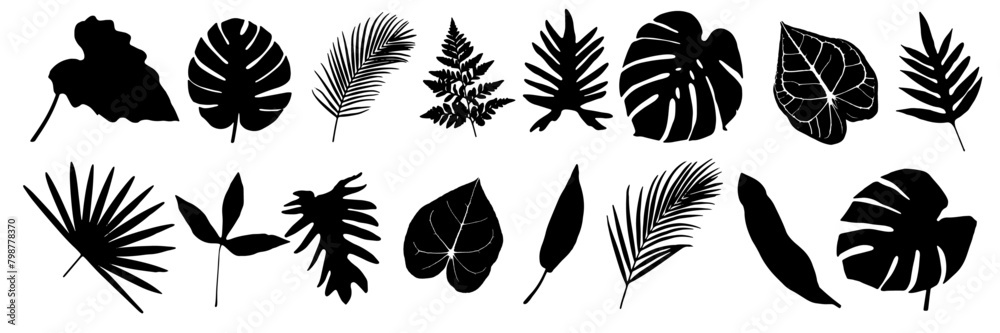 Set of palm leaves silhouettes isolated on white background