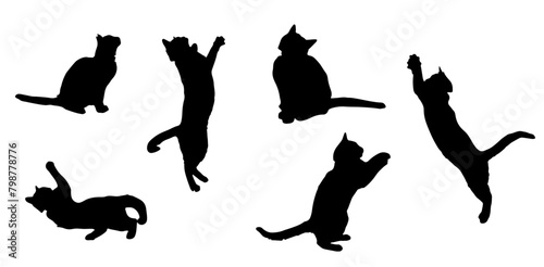 Cat silhouette vector set Isolated On White Background photo
